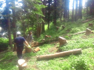 2012_0729_101400.JPG