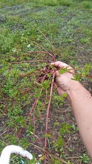 20150925_143644.jpg