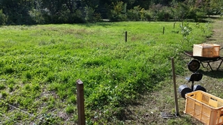 20151003145449018.jpg