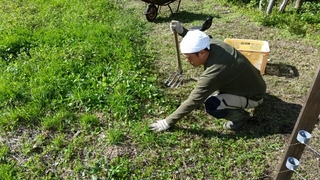 20151003145519721.jpg