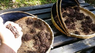20151004103143168.jpg