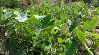 20151007142831567.jpg