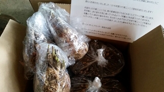 20151009143141182.jpg