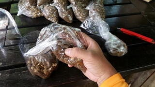 20151009143754718.jpg