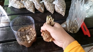 20151009143911772.jpg