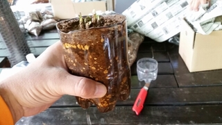 20151009144102799.jpg