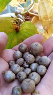 20151013152125573.jpg