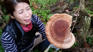 20151020101722538.jpg