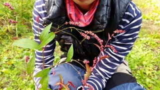 20151020110033649.jpg