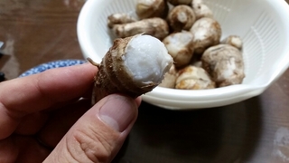 20151024195756904.jpg