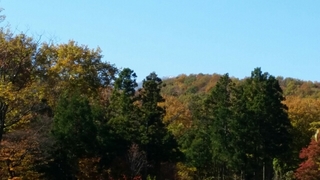 20151104123308609.jpg