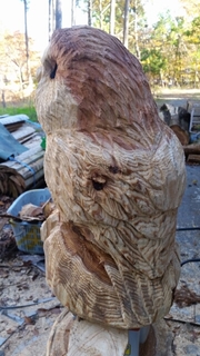 20151105140726834.jpg