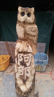 20151113201624509.jpg