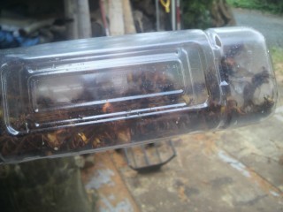 XYo`ގߊlĒЂ