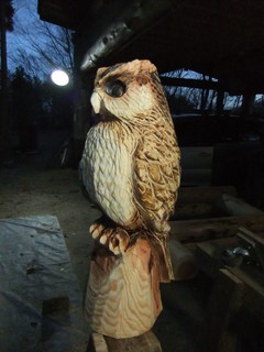 _̒ӂ낤EChainsaw art Owl